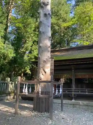 諏訪大社下社春宮の自然