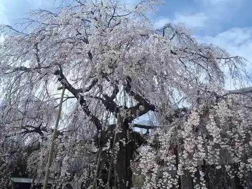 金剛寺(愛知県)
