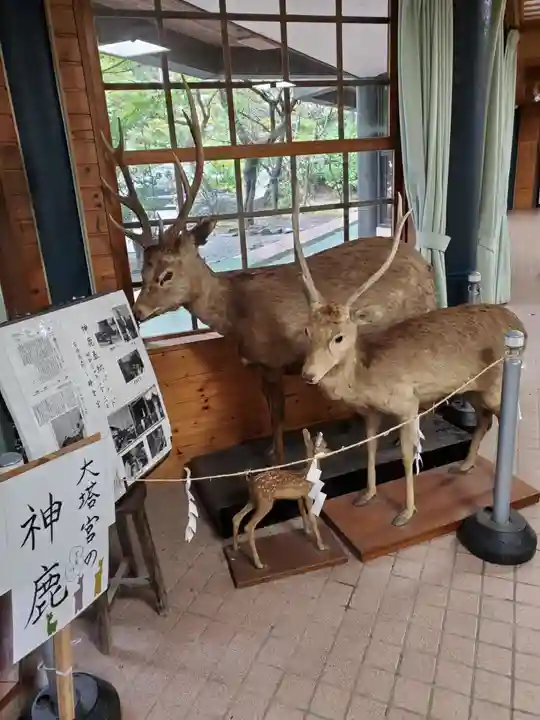 鎌倉宮のその他建物