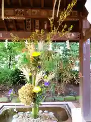 赤坂氷川神社(東京都)