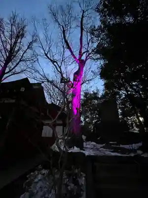 秩父神社(埼玉県)