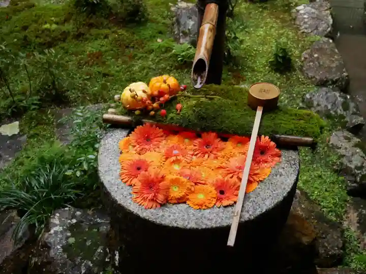 柳谷観音 楊谷寺の手水舎