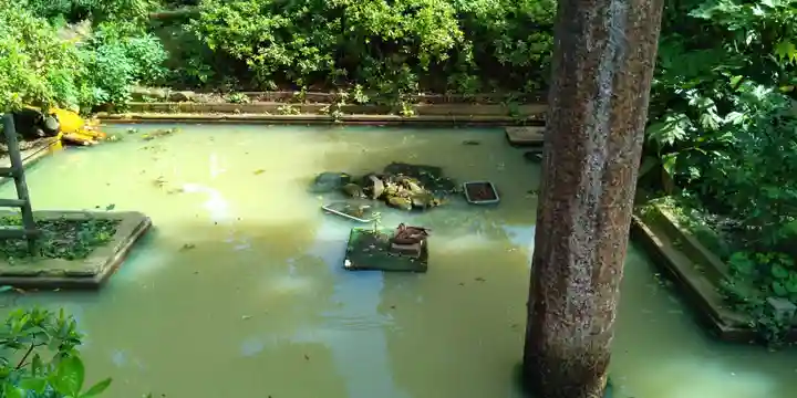 厳島神社の庭園