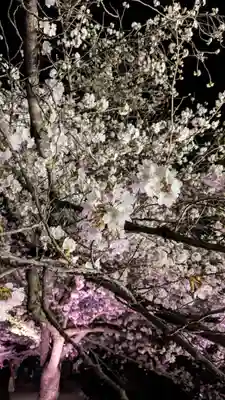 知恩院(京都府)