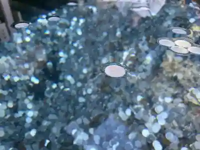 金刀比羅宮(香川県)