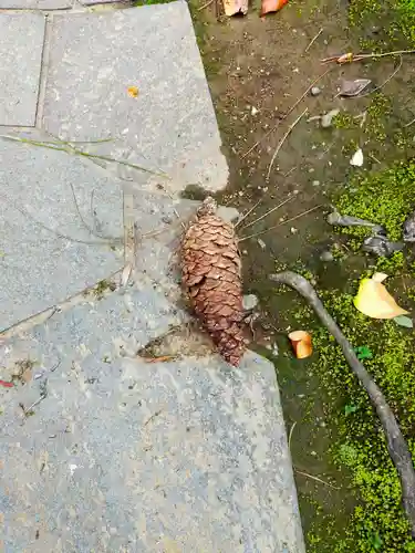 顕常寺(大阪府)