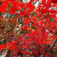 豊景神社の自然