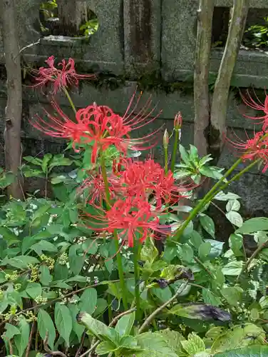 西雲院(京都府)