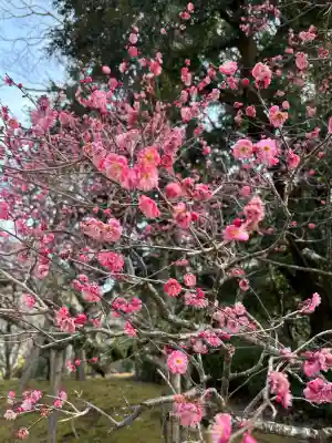 成田山平和大塔の{uncategorized: "未分類", other: "その他", undefined: "問題あり", building: "その他建物", grave: "お墓", sacred_gate: "鳥居", guardian: "狛犬", statue: "像", buddha: "仏像", history: "歴史", nature: "自然", garden: "庭園", animal: "動物", pagoda: "塔", temizu: "手水舎", mountain_gate: "山門・神門", sanctuary: "本殿・本堂", subordinate: "末社・摂社", art: "芸術", scenery: "景色", jizo: "地蔵", ema: "絵馬", goshuin: "御朱印", omikuji: "おみくじ", items: "授与品その他", amulet: "お守り", goshuincho: "御朱印帳", eats: "食事", festival: "お祭り", votive_dance: "神楽", shichigosan: "七五三参", wedding: "結婚式", experience: "体験その他", initially: "初詣", around: "周辺", anti_infection: "感染症対策"}