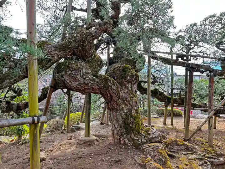 塩澤寺(山梨県)