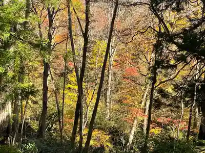 戸隠神社奥社(長野県)