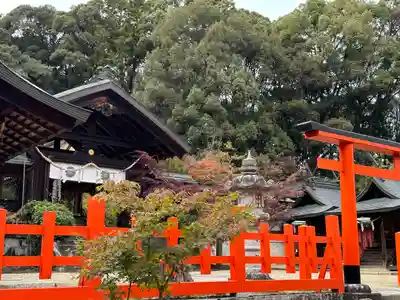 龍田大社(奈良県)