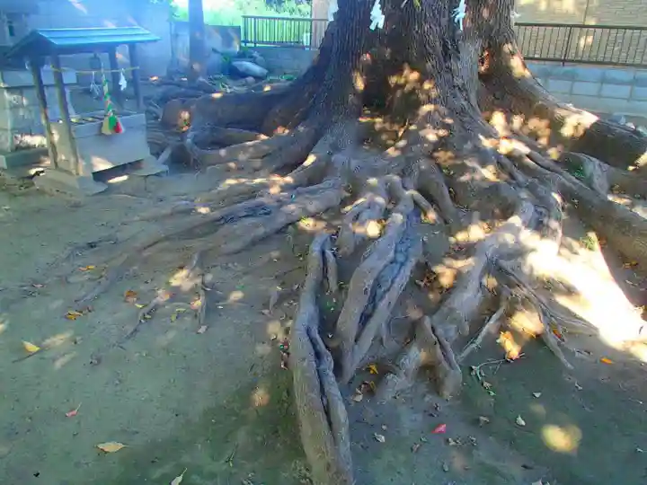宮鍋神社のその他建物