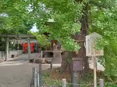 白山神社の自然