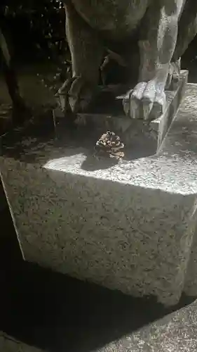 八坂神社(東京都)