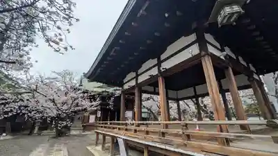 天孫神社(滋賀県)