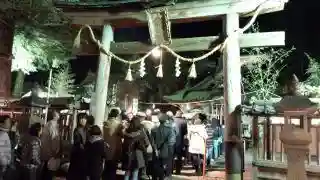 柏原八幡宮の初詣