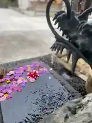 大鏑神社の手水