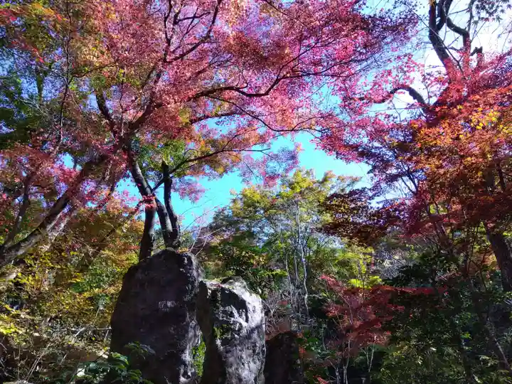 宝泉院(京都府)