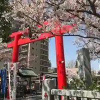 亀戸浅間神社の鳥居