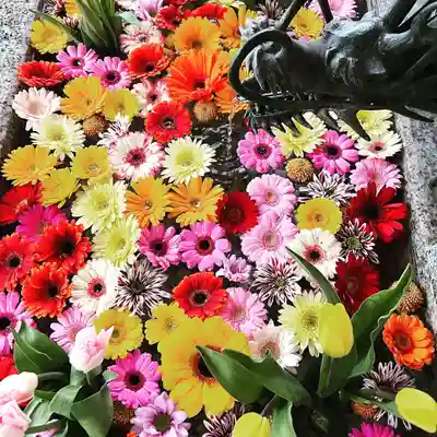 札幌諏訪神社の手水舎