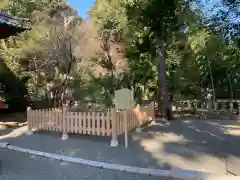 伊豆山神社の自然