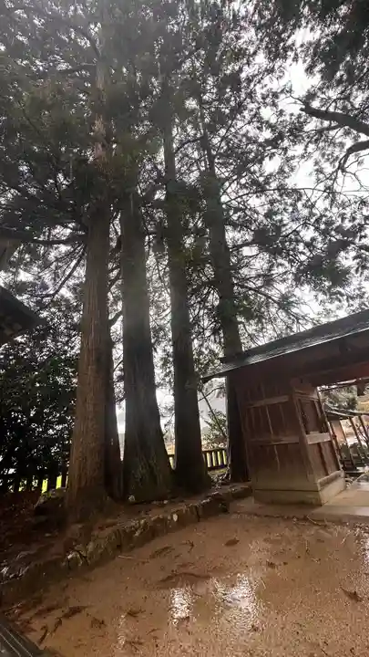 二宮神社(兵庫県)