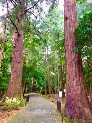 若狭彦神社（上社）のその他建物