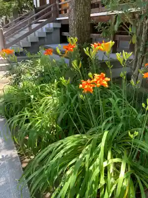 正覚院(東京都)