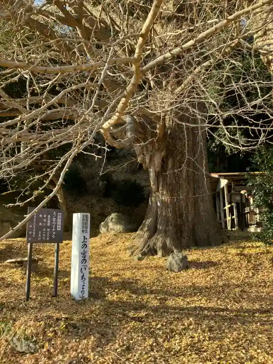 鏡山湯泉神社(栃木県)