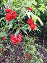 星置神社の自然