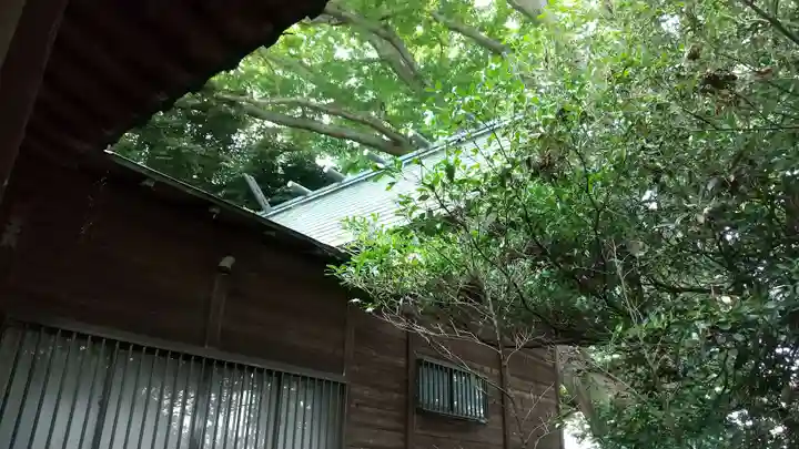 香取神社(関宿香取神社)の本殿・本堂