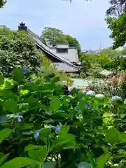 性海寺の本殿