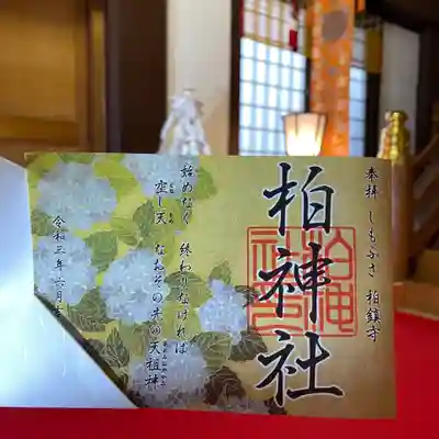 あじさい