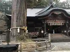 北口本宮冨士浅間神社の本殿