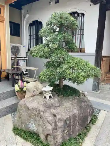 本通寺の{uncategorized: "未分類", other: "その他", undefined: "問題あり", building: "その他建物", grave: "お墓", sacred_gate: "鳥居", guardian: "狛犬", statue: "像", buddha: "仏像", history: "歴史", nature: "自然", garden: "庭園", animal: "動物", pagoda: "塔", temizu: "手水舎", mountain_gate: "山門・神門", sanctuary: "本殿・本堂", subordinate: "末社・摂社", art: "芸術", scenery: "景色", jizo: "地蔵", ema: "絵馬", goshuin: "御朱印", omikuji: "おみくじ", items: "授与品その他", amulet: "お守り", goshuincho: "御朱印帳", eats: "食事", festival: "お祭り", votive_dance: "神楽", shichigosan: "七五三参", wedding: "結婚式", experience: "体験その他", initially: "初詣", around: "周辺", anti_infection: "感染症対策"}