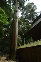 奥宮(鹿島神宮摂社)(茨城県)