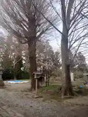 網戸神社の自然