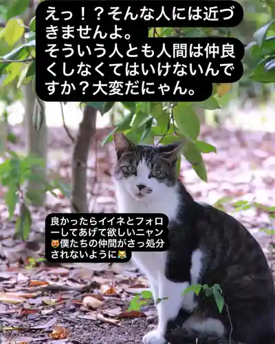 専念寺(大阪府)