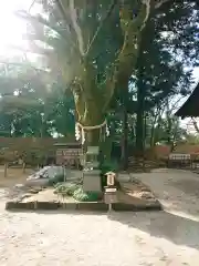 武田神社の庭園