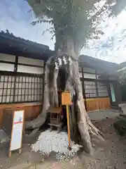 三輪恵比寿神社(奈良県)