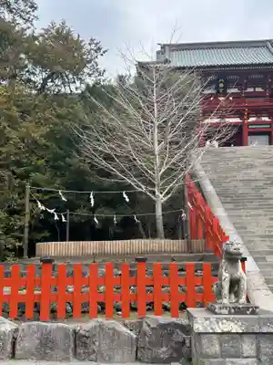 鶴岡八幡宮(神奈川県)