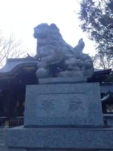 荻窪八幡神社の狛犬