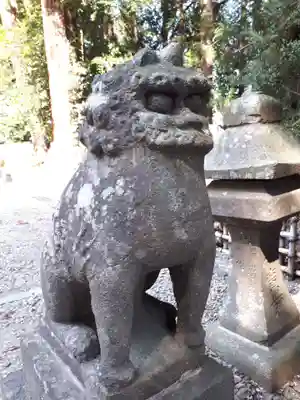 大崎八幡宮の狛犬