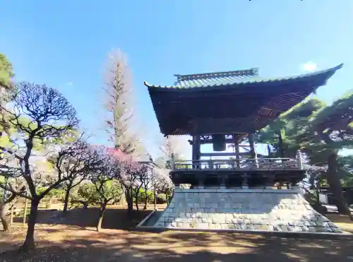 三寳寺の{uncategorized: "未分類", other: "その他", undefined: "問題あり", building: "その他建物", grave: "お墓", sacred_gate: "鳥居", guardian: "狛犬", statue: "像", buddha: "仏像", history: "歴史", nature: "自然", garden: "庭園", animal: "動物", pagoda: "塔", temizu: "手水舎", mountain_gate: "山門・神門", sanctuary: "本殿・本堂", subordinate: "末社・摂社", art: "芸術", scenery: "景色", jizo: "地蔵", ema: "絵馬", goshuin: "御朱印", omikuji: "おみくじ", items: "授与品その他", amulet: "お守り", goshuincho: "御朱印帳", eats: "食事", festival: "お祭り", votive_dance: "神楽", shichigosan: "七五三参", wedding: "結婚式", experience: "体験その他", initially: "初詣", around: "周辺", anti_infection: "感染症対策"}