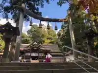 大神神社の鳥居