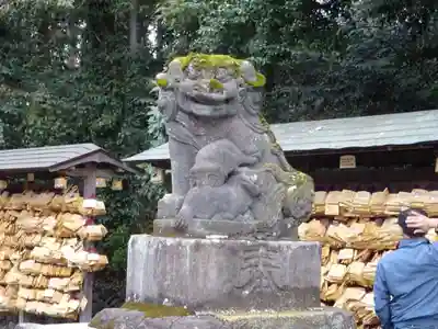 谷保天満宮の狛犬
