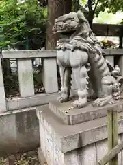 渋谷氷川神社の狛犬