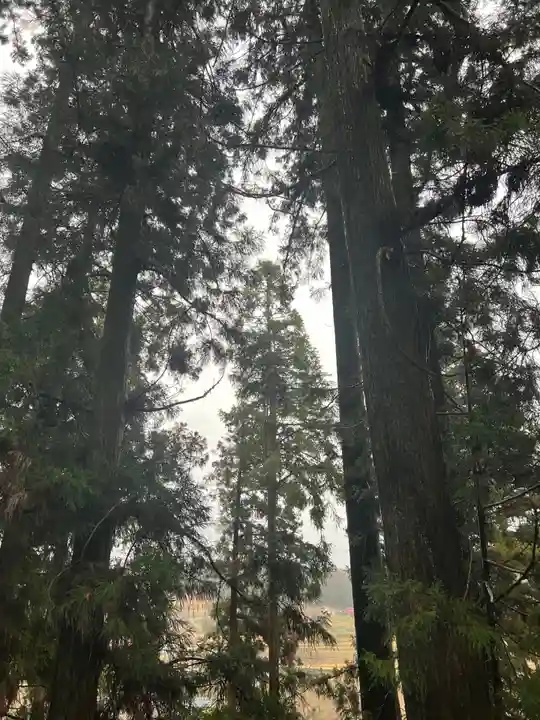 大宮温泉神社(栃木県)