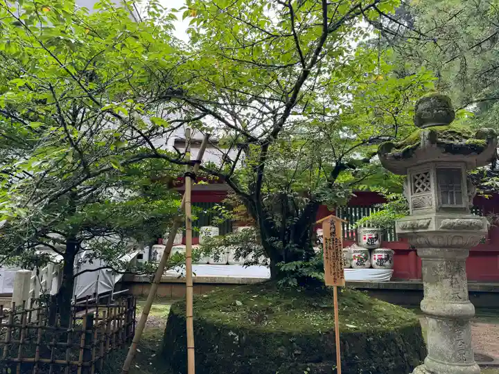 香取神宮(千葉県)
